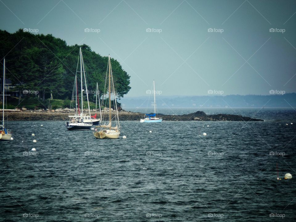 Belfast Maine boats