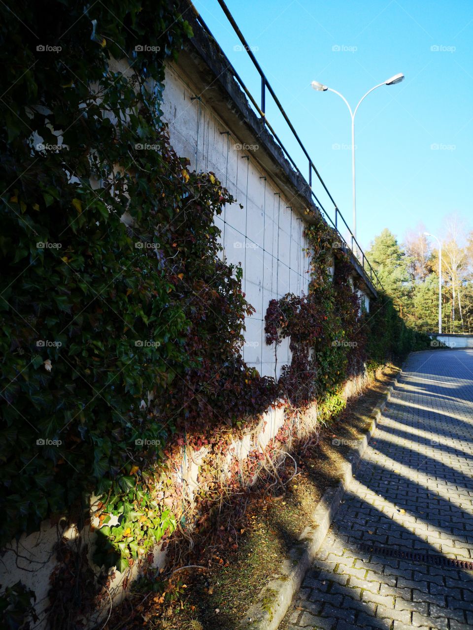 Sunny day and blue sky