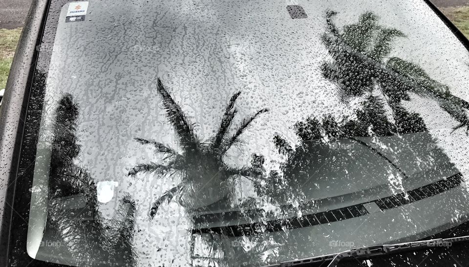 Reflection in car window