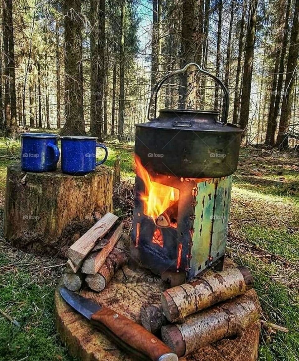 Winter trip in the natural  forest