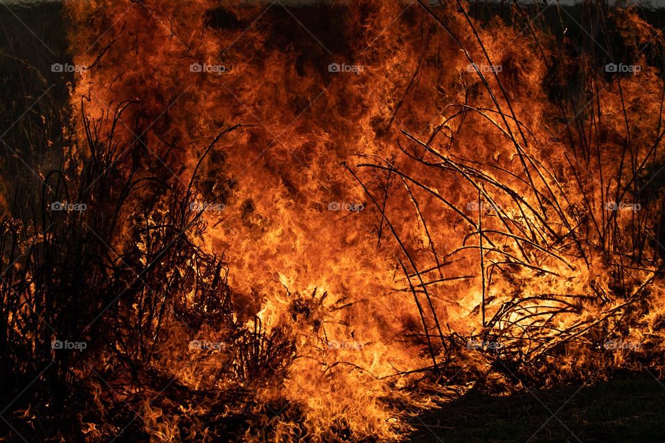 fogo em área rural no interior do Brasil.