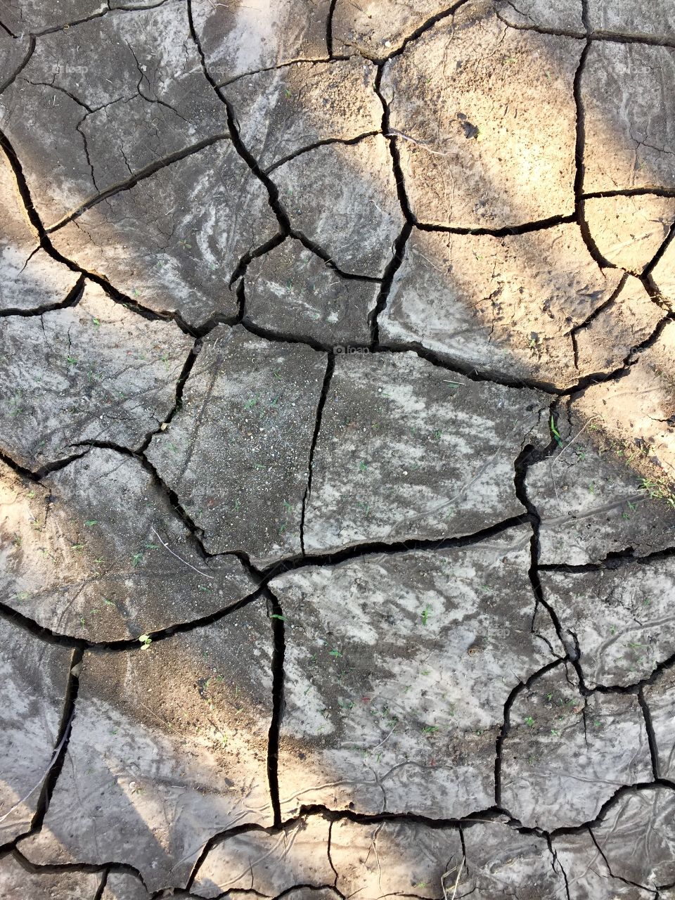 Creative Textures - cracked mud