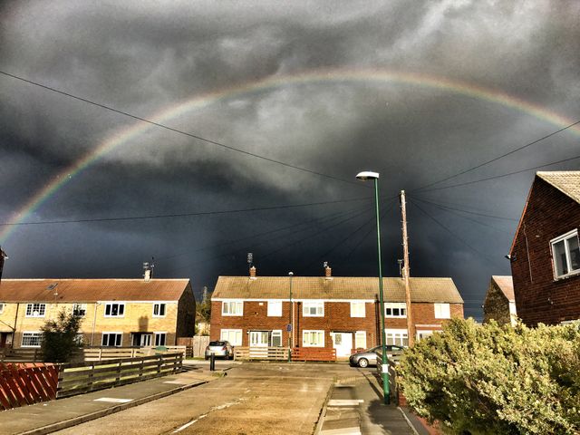 Urban Rainbow 