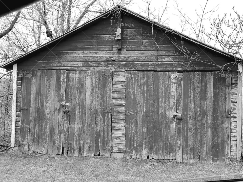 Driving the back Roads enjoying everything around us.