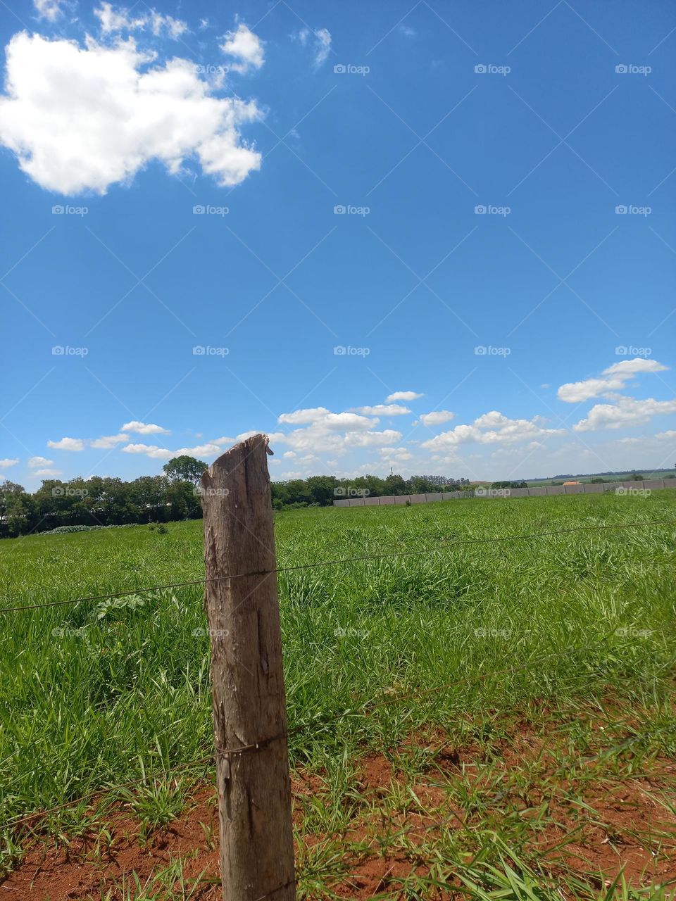 Cercamento das terras. A Lei do Cercamento,  foi uma série de leis promulgadas na Inglaterra,  a partir do século XVIII, que permitiram aos proprietários  de terras, cercar e privatizar áreas comuns, como pastagens e campos...