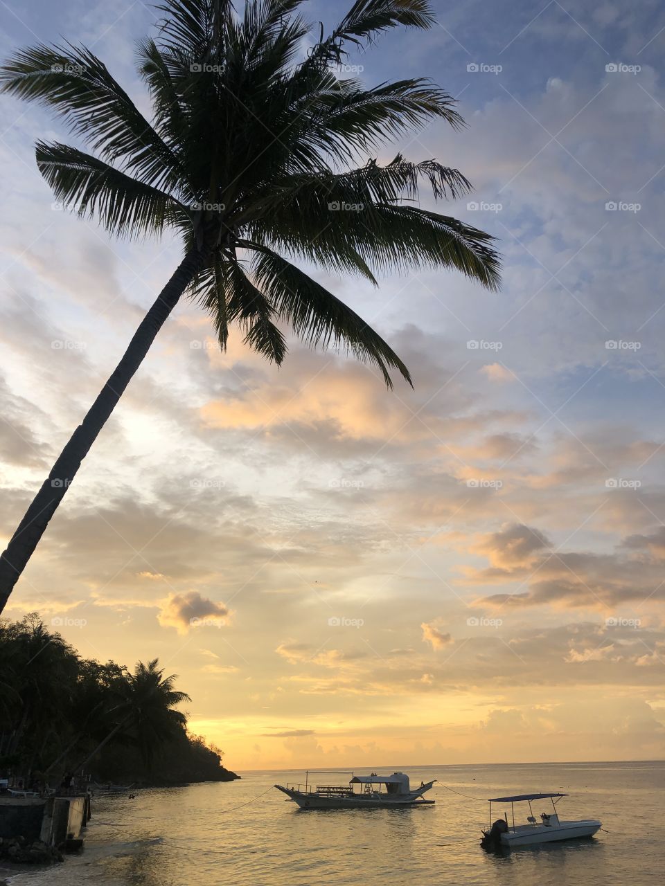 Sunset on the beach with palm tree 