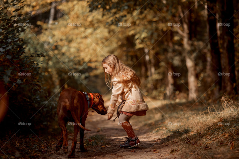 Little girl playing with dogs in an autumn park