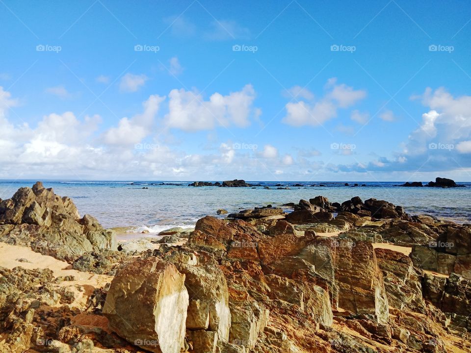 Morning in the beach