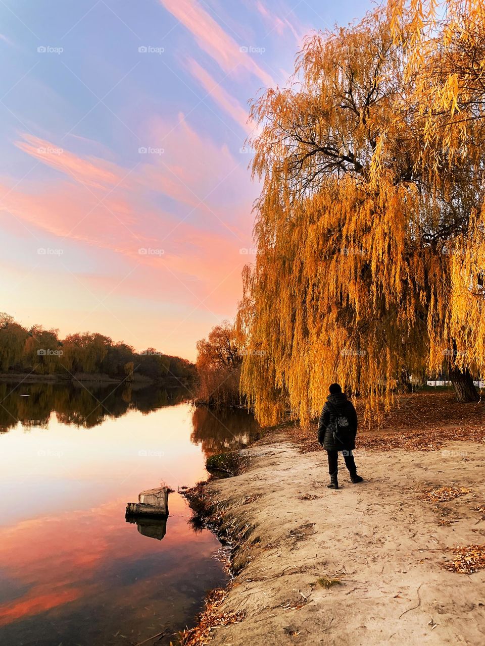 Autumn nature at the riverside 