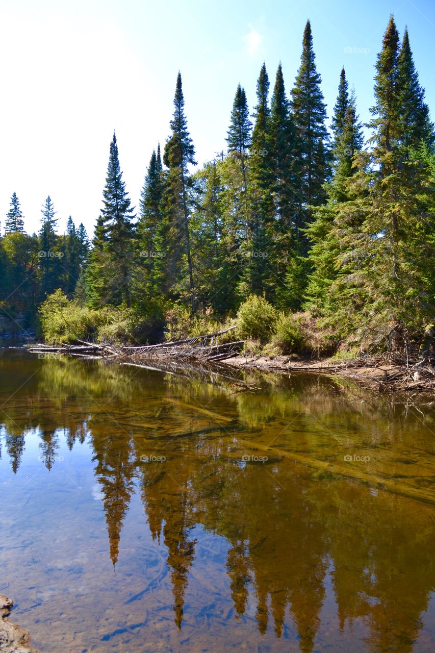 No Person, Water, Nature, Landscape, Wood
