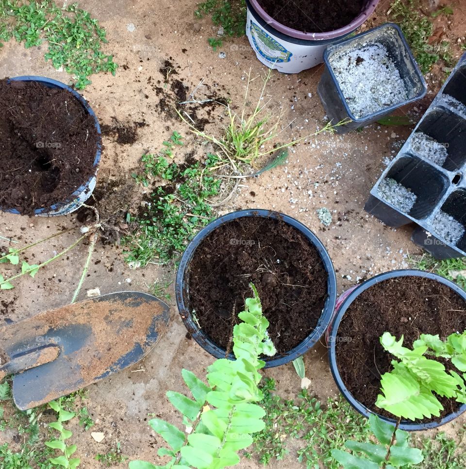 Gardening 