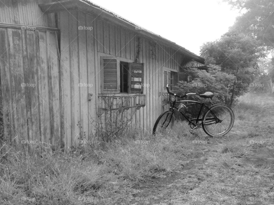 Wooden cabin and old bike
