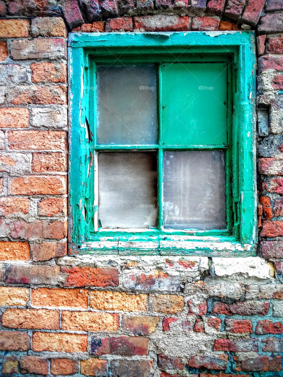 Window