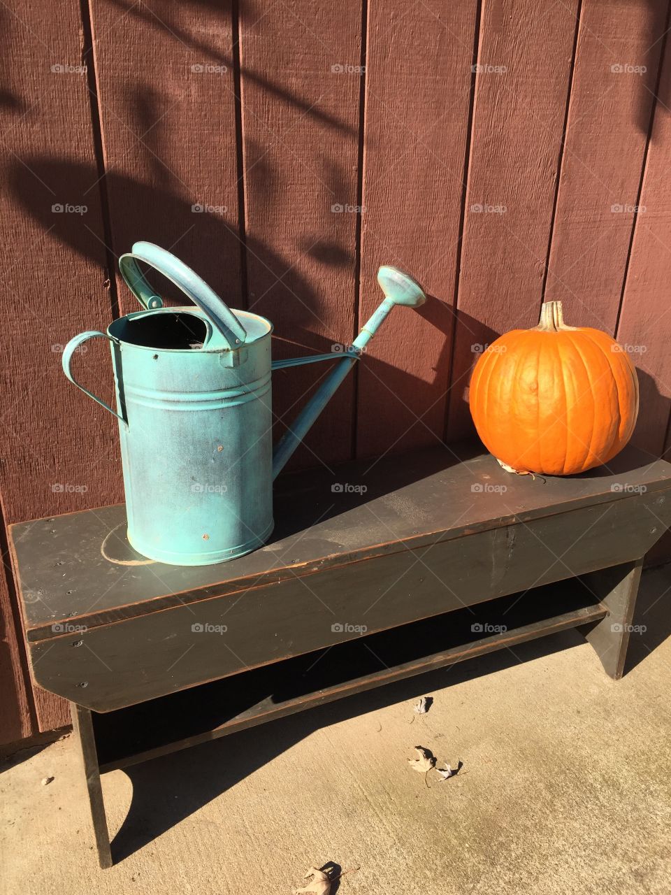 Water can and pumpkin still life