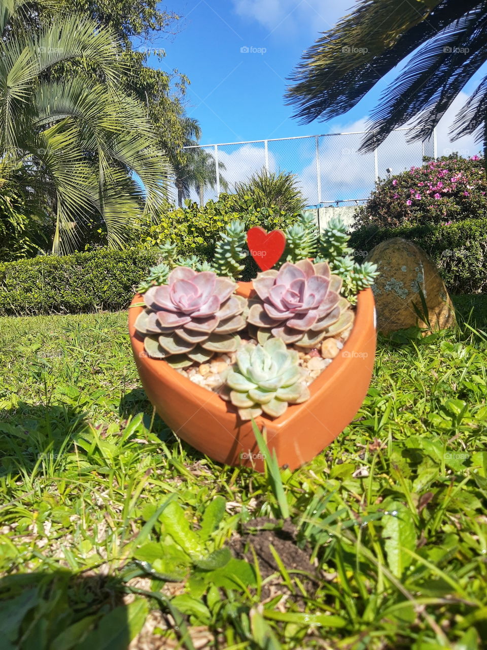 heart pot