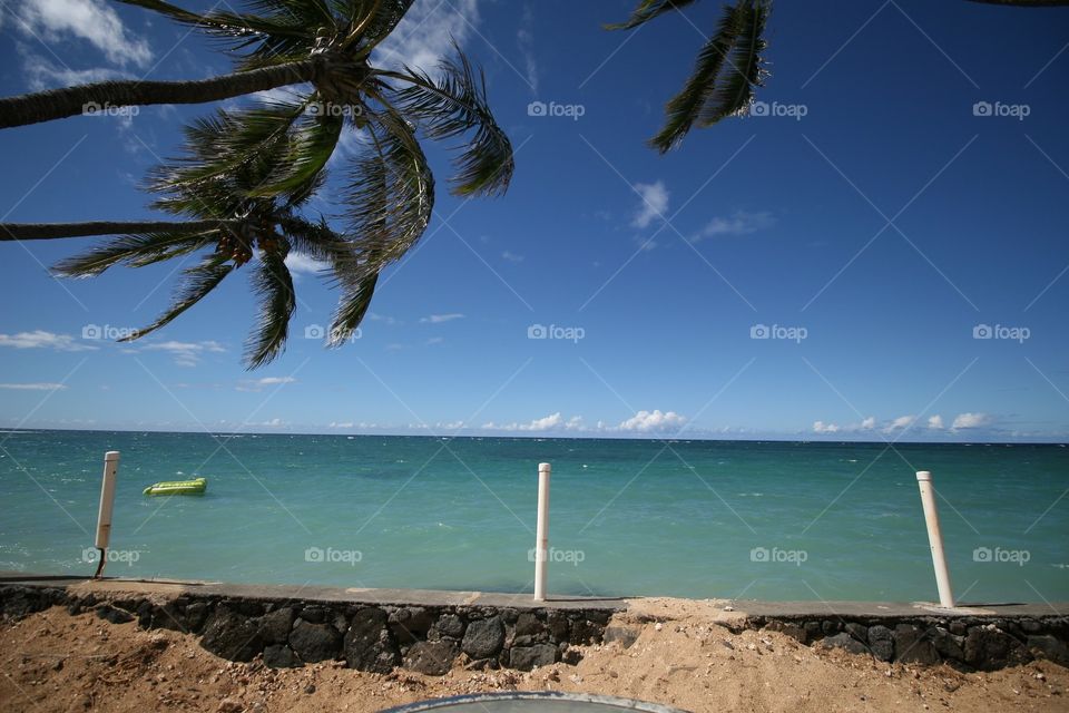 Looking at the Ocean. Palm trees sway as a raft beckons in aquamarine water. Puffs of clouds hang close to the horizon. A very peaceful place.