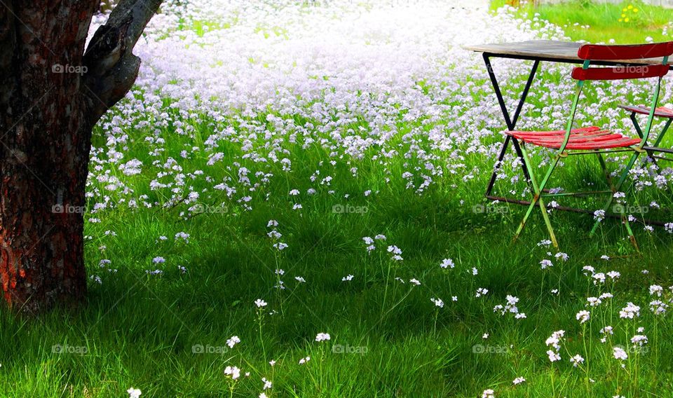 Chair in field of wildflowers in springtime