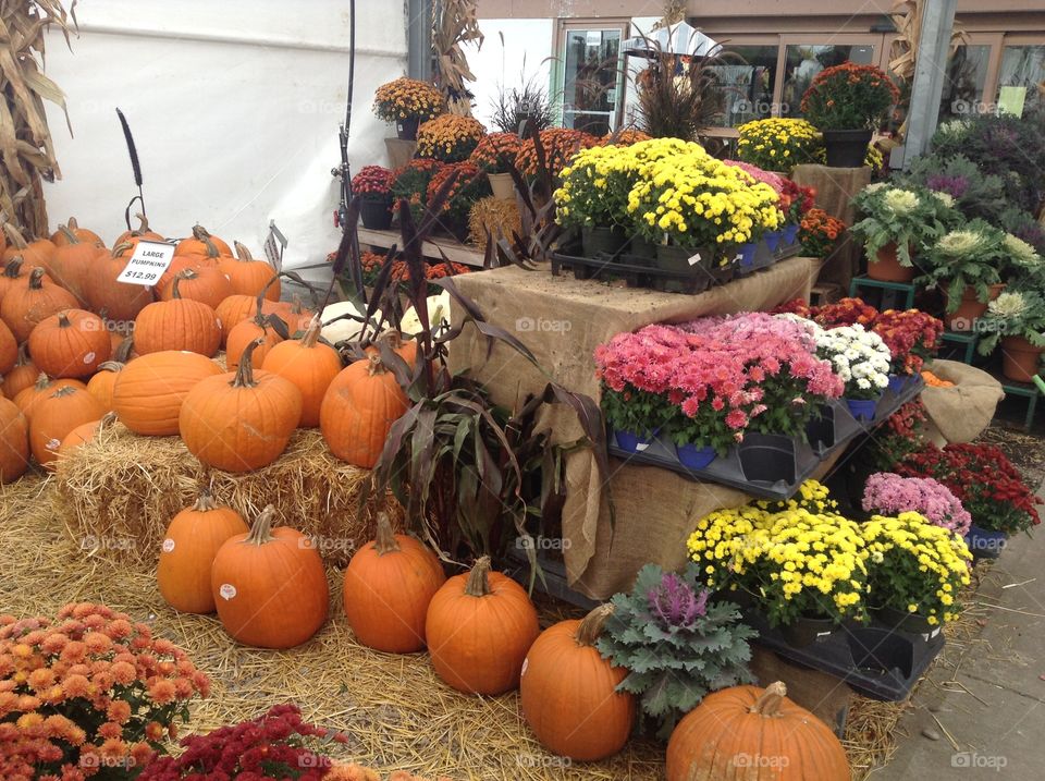 Farm market in October 