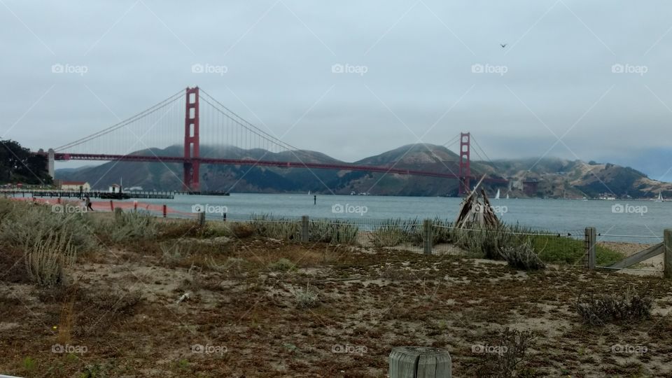 Golden Gate Bridge as seen from Crissy Field