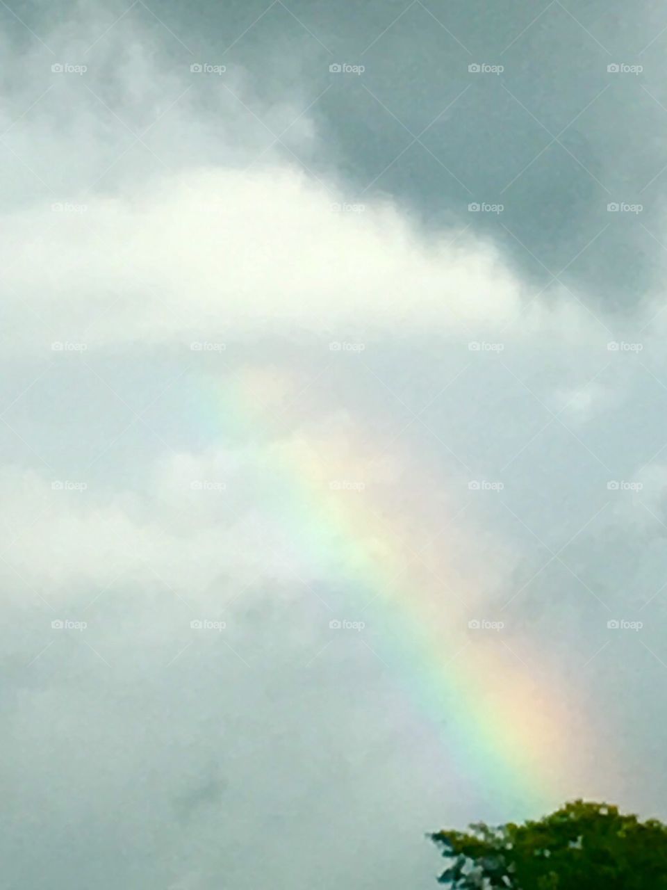 A hint of rainbow