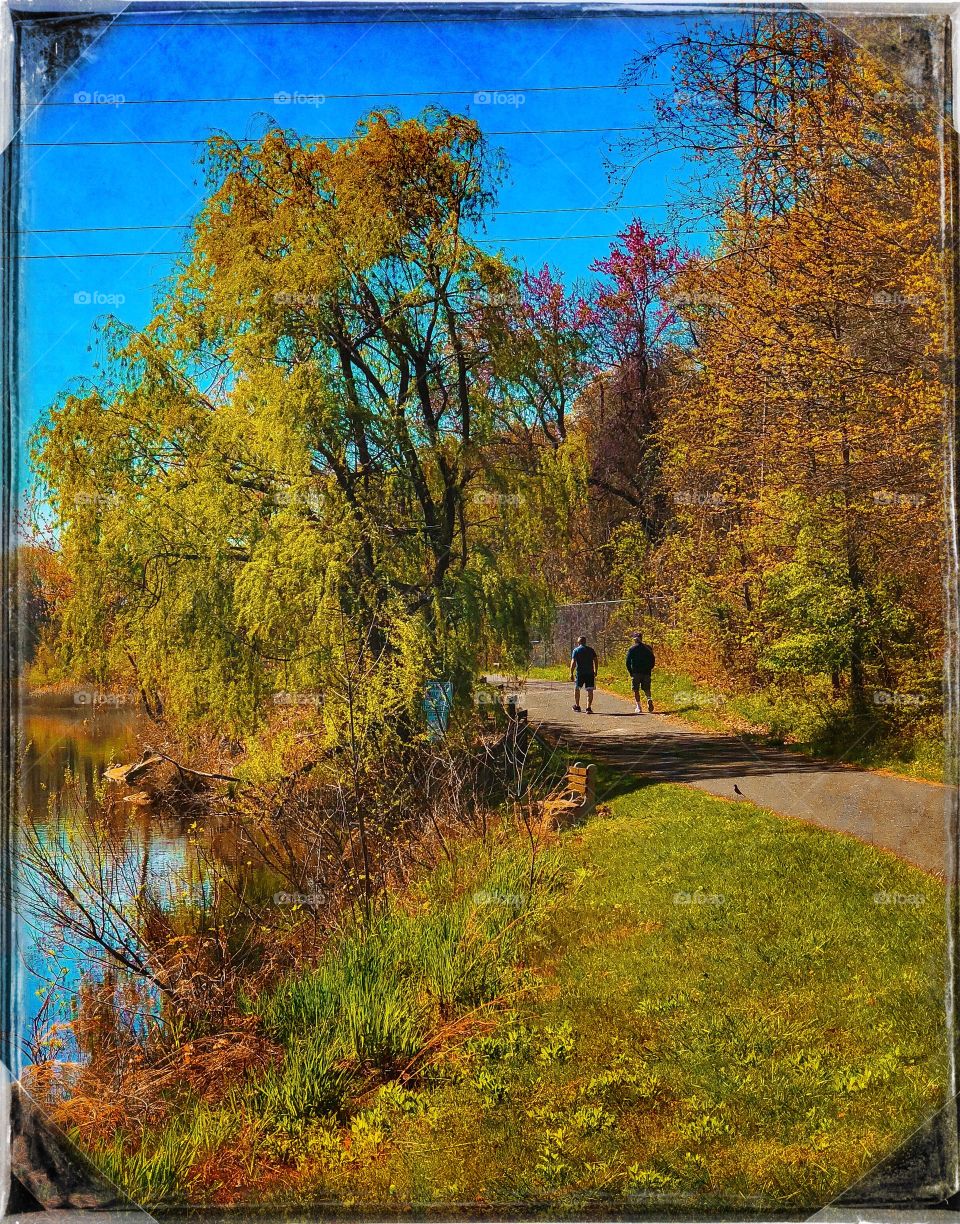 Lakefront path