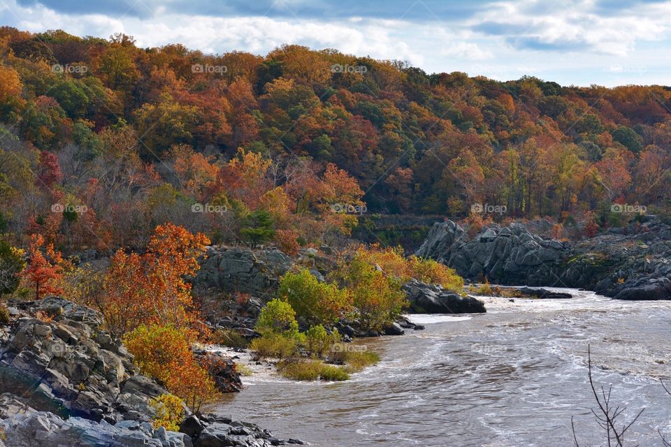 Autumn on the Potomac River