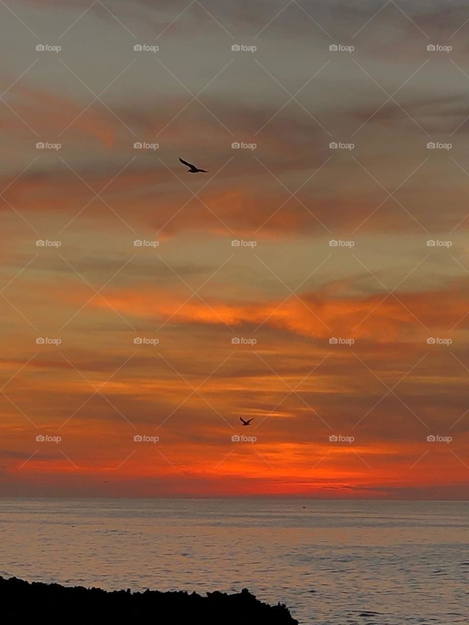 beautiful and golden sunset