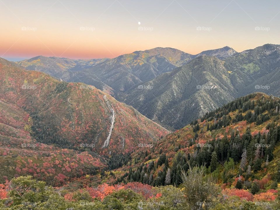 An early October sunset while the moon rises over fall foliage 