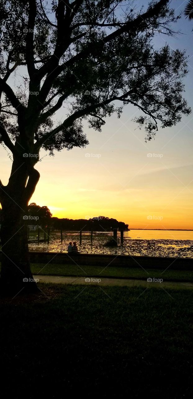 Taking in tbe moment