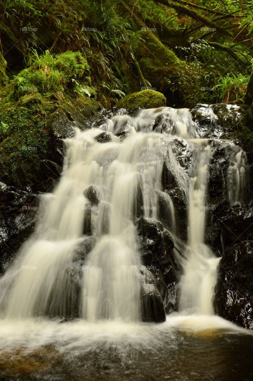 Scenic view of waterfall