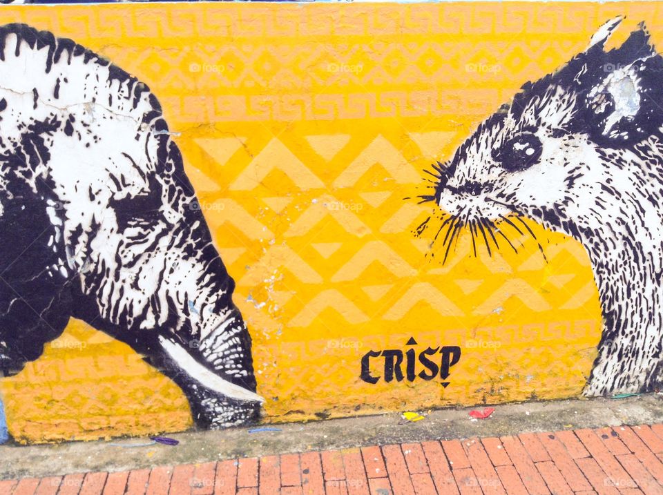 Street art in the streets of Bogota