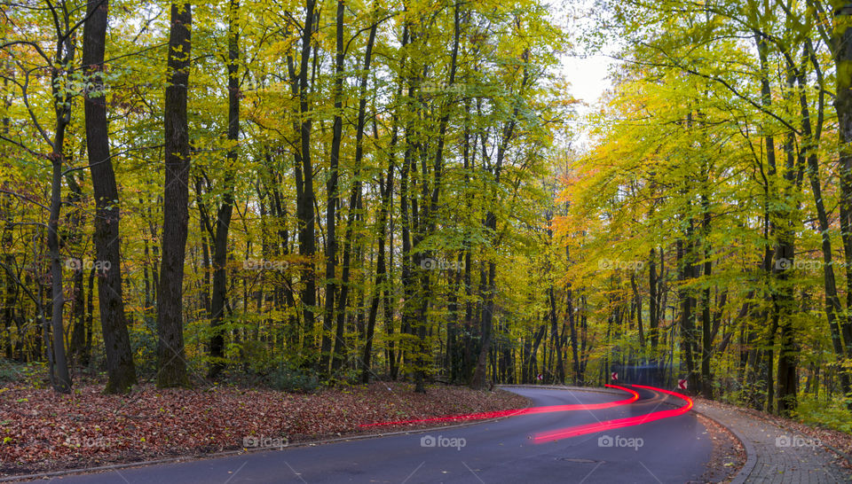 Autumn forest.  Car passing through autumn forest.