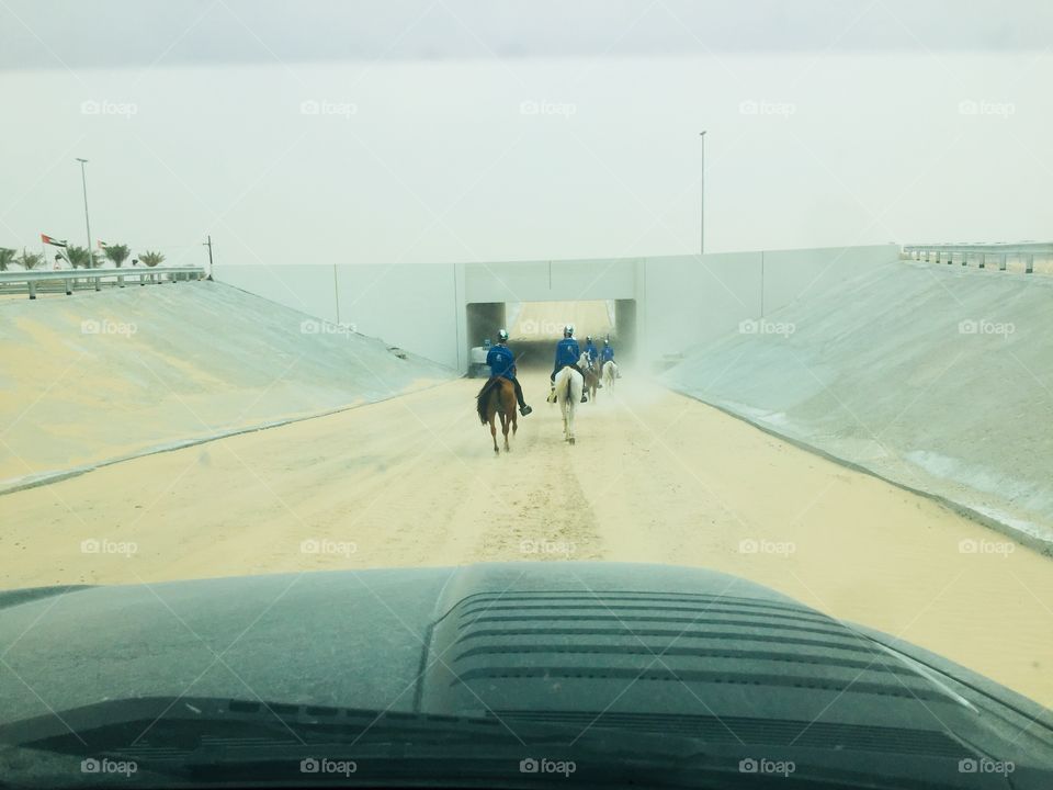 Horses going through the Tunnel 