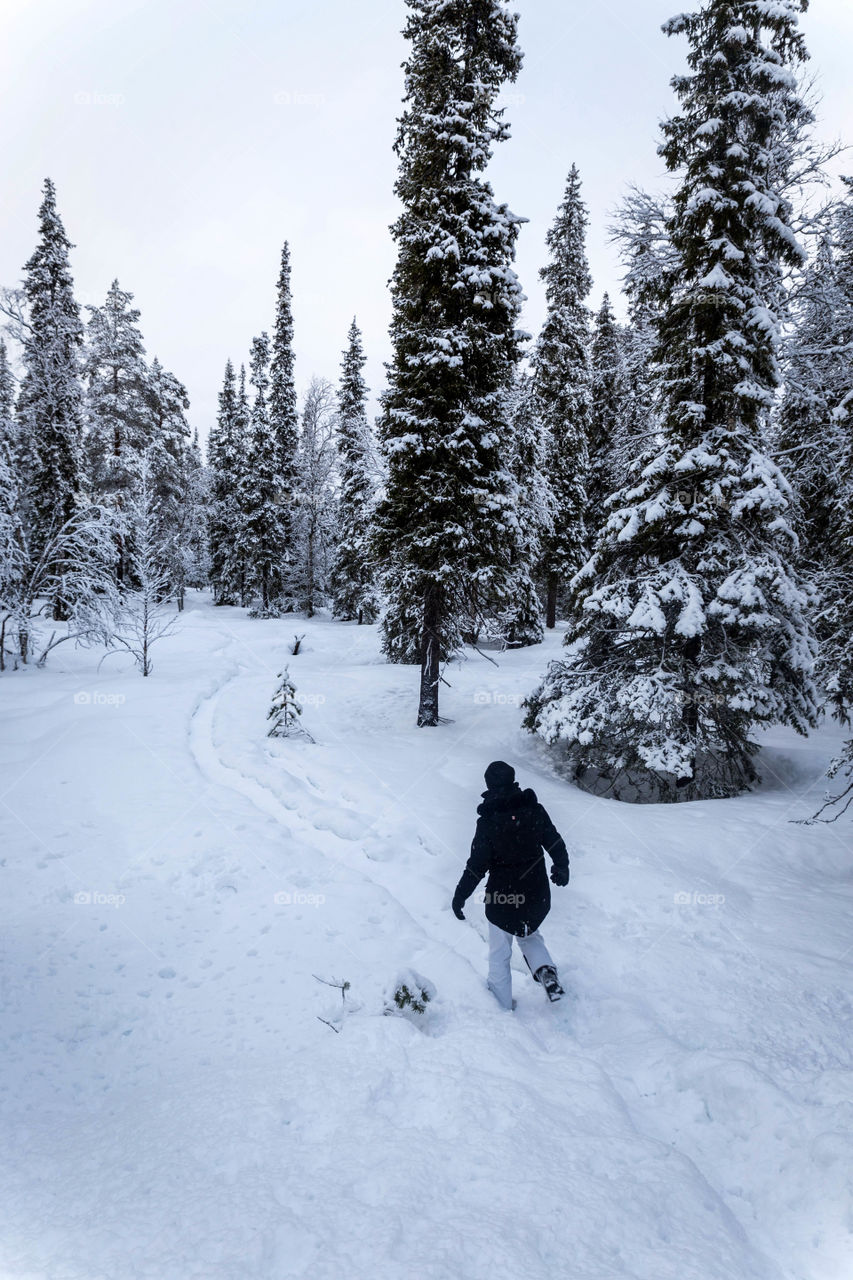 Winter walk