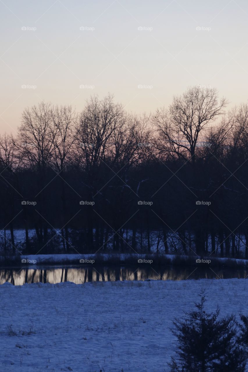 A cold winter day in the fields and forests blanketed with a layer of snow.