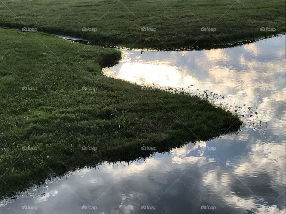 Sun reflecting off the pond water's surface