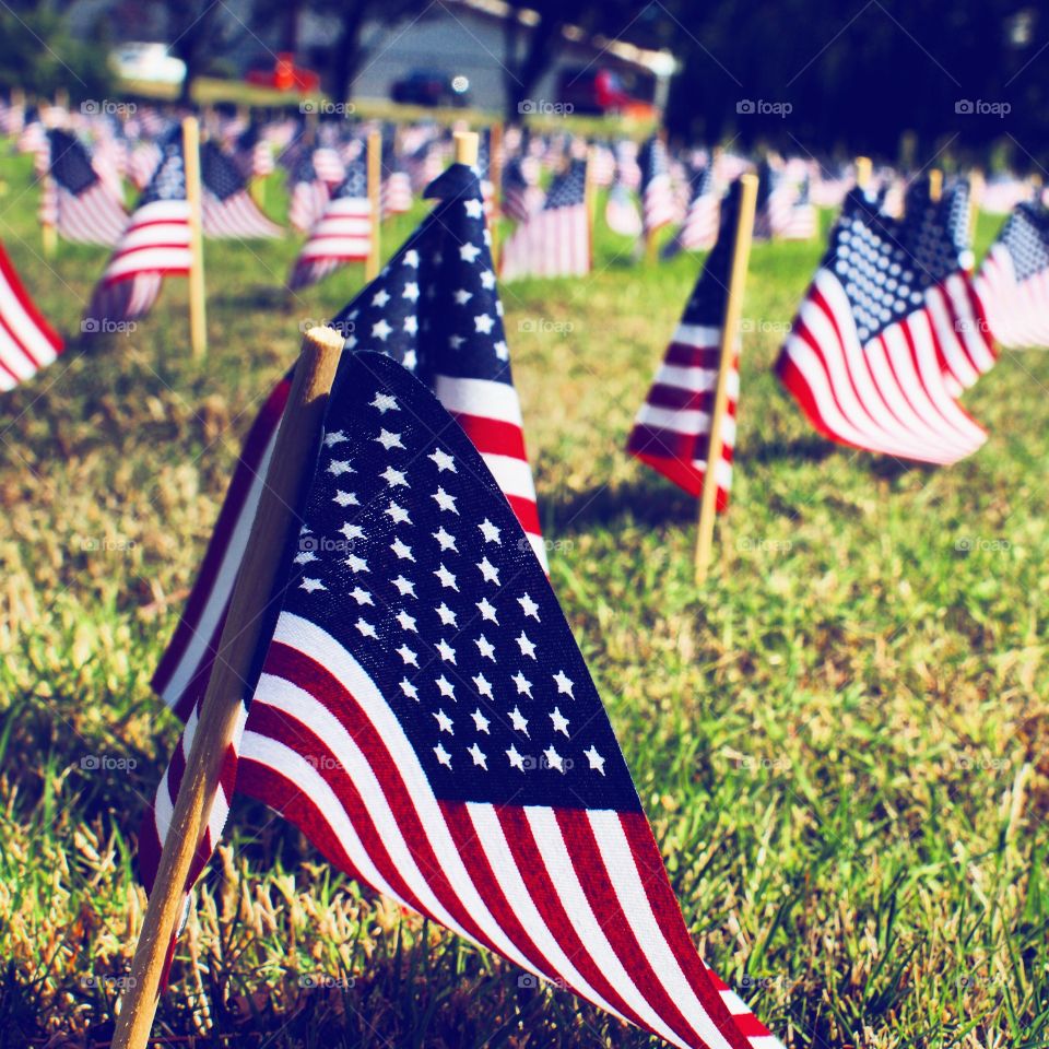 A field of remembrance. - A field of flags representing those who passed away on 9.11. 01

- American Flag installation - Oak Harbor, WA.