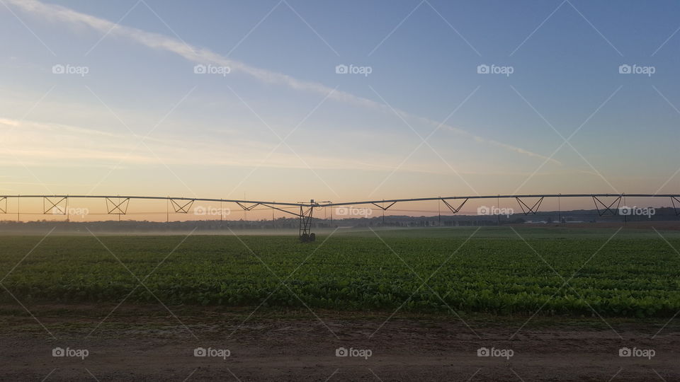 Farm land sunrise