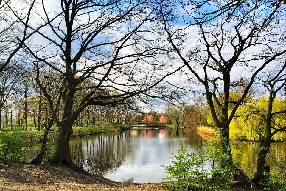 Landscape series - The Netherlands