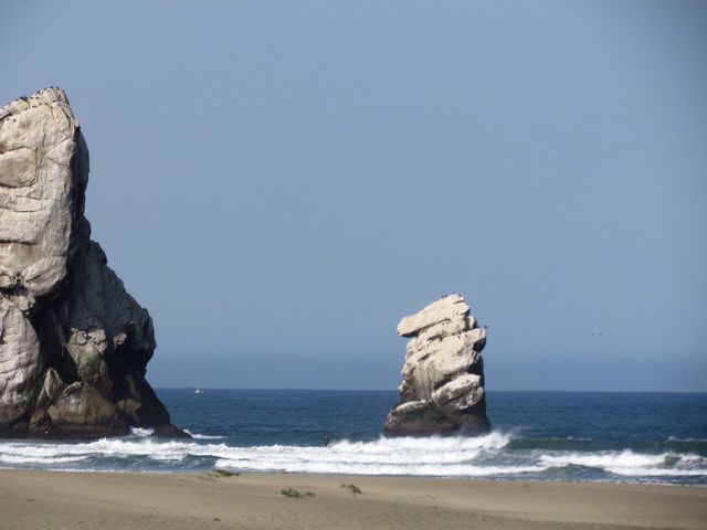 Rock and Rock Jr.