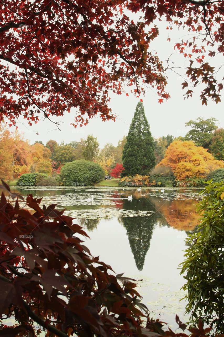 Sheffield Park