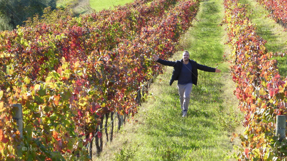 Man posing in winery farm