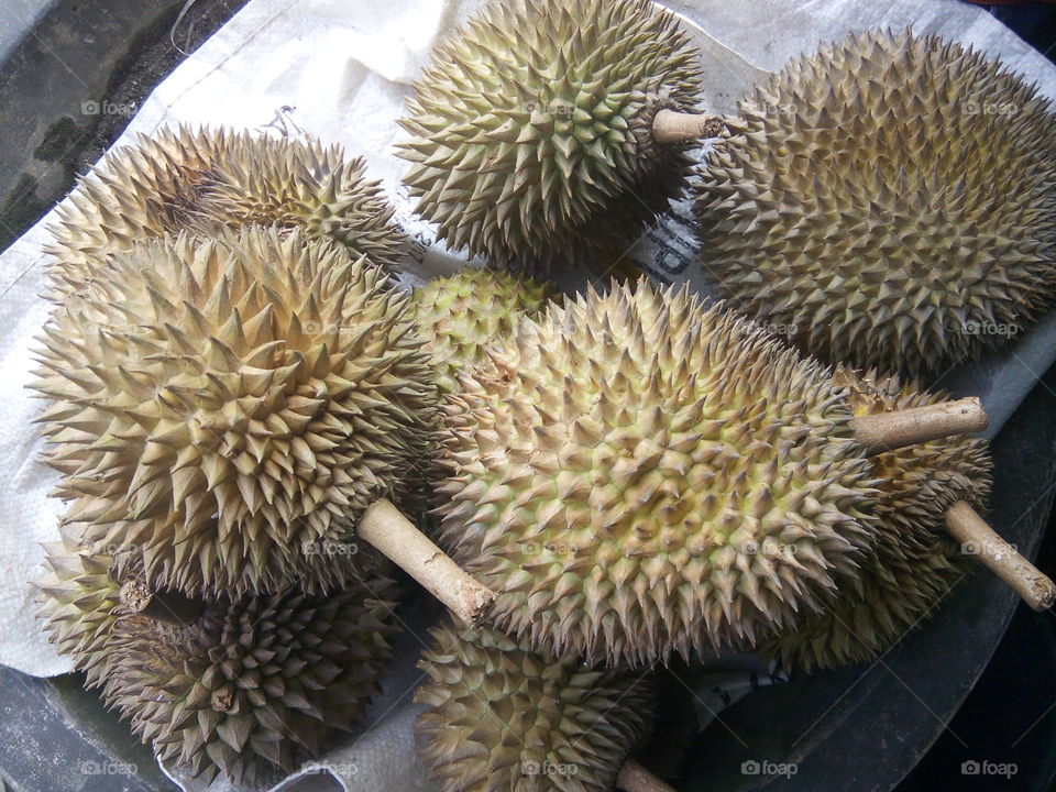 Durian Fruit from Solo Indonesia