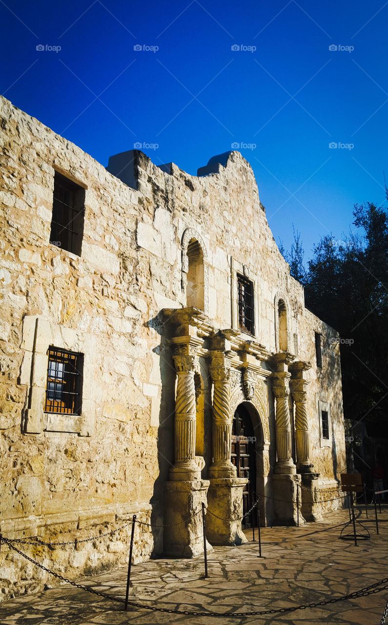 Remember the Alamo