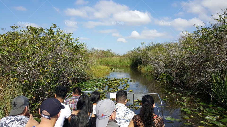 Visiting the Everglades National Park