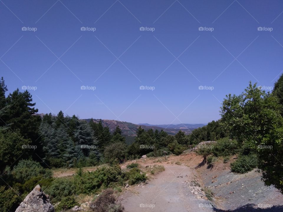 A trip going to Monte Novo San Giovanni