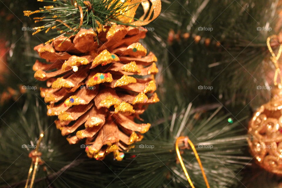 Christmas, Winter, Pine, Cone, Fir