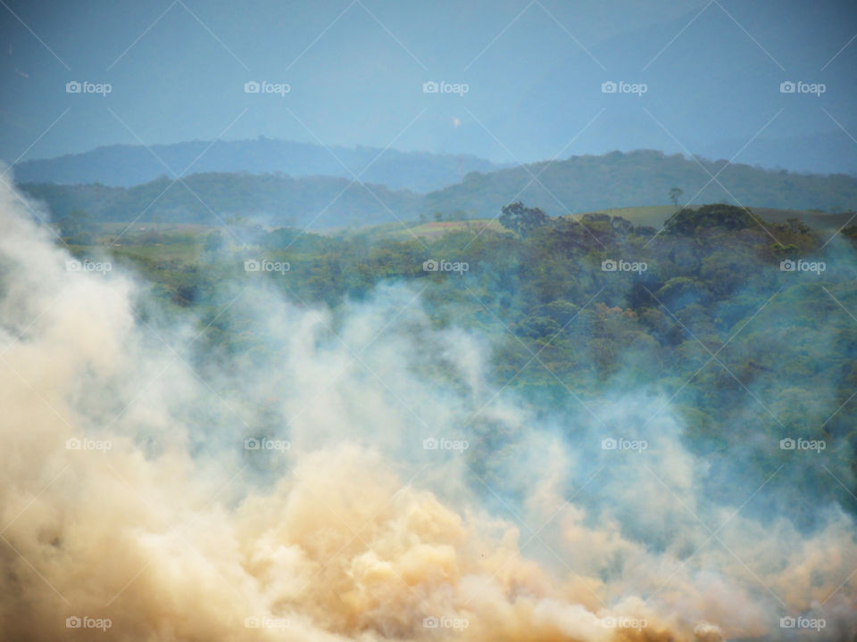 Burned. Smoke caused by fire due to burning and green vegetation in the background 