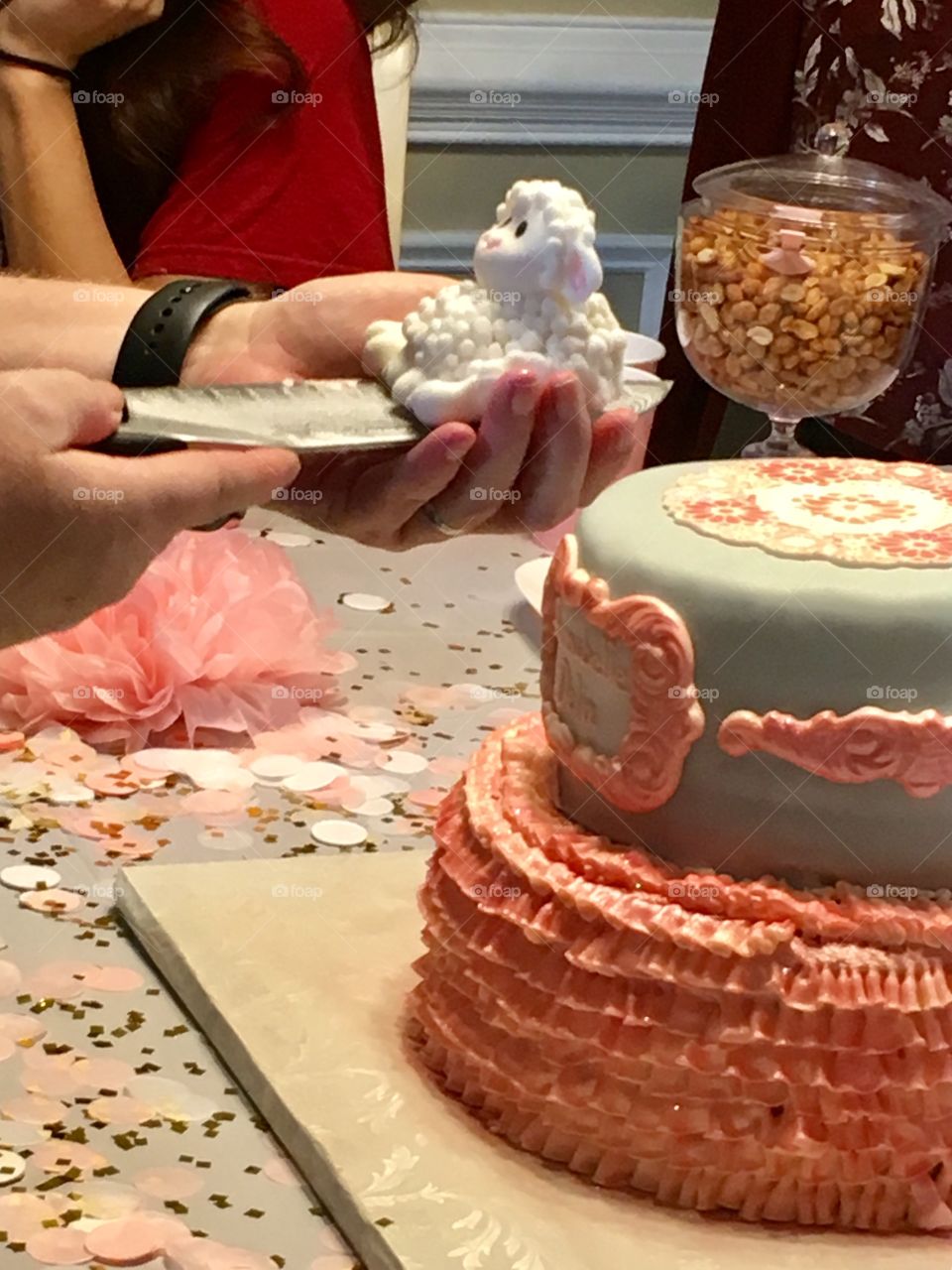 Baby Shower Celebration 