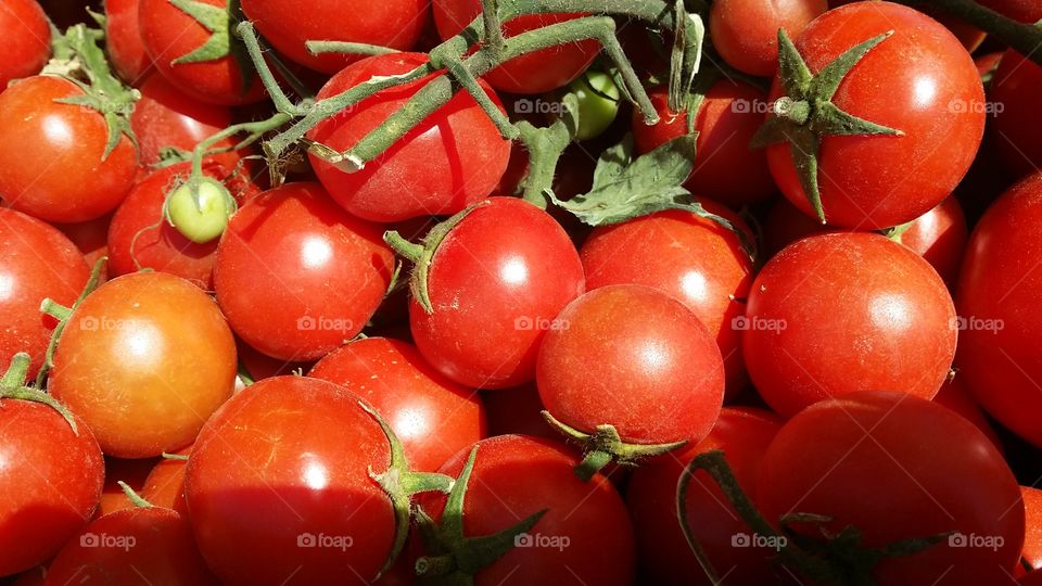 Red ripe fresh tomatoes